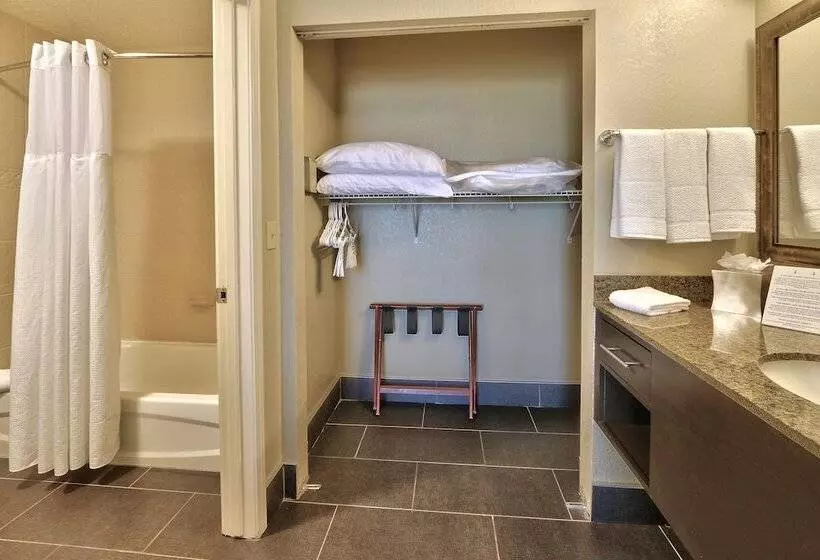２ベッドスイートルーム, Staybridge Suites Albuquerque North, An Ihg