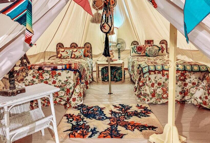 스탠다드 룸, Lone Star Glamp Inn