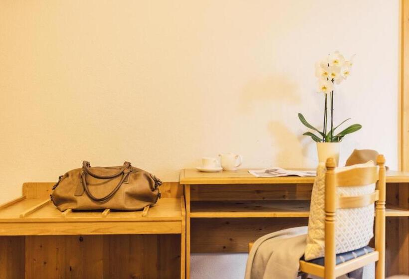 غرفة قياسية, Parkhotel Schachen