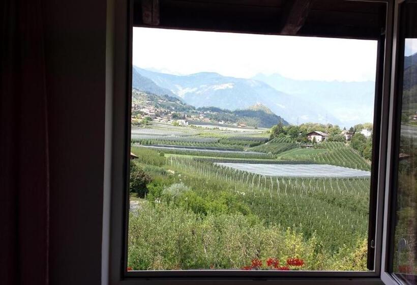 חדר סטנדרט עם מרפסת, Felsenegg