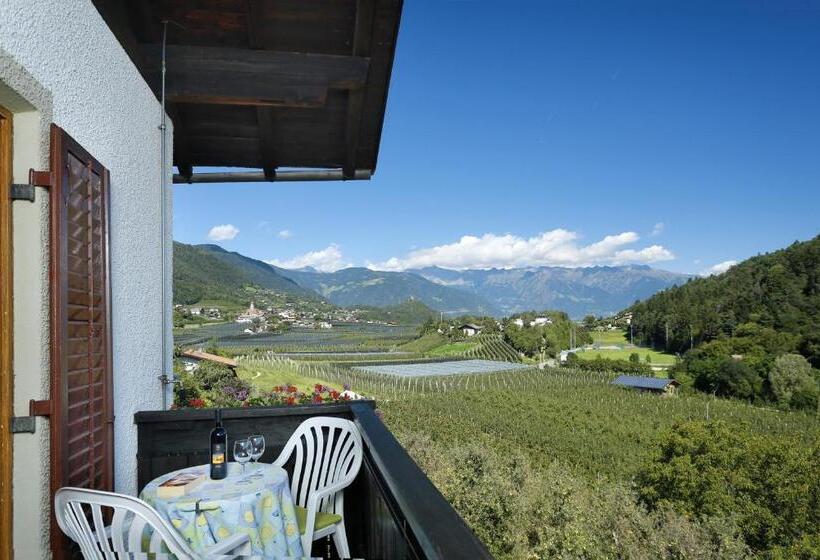 חדר סטנדרט לשלושה עם מרפסת, Felsenegg