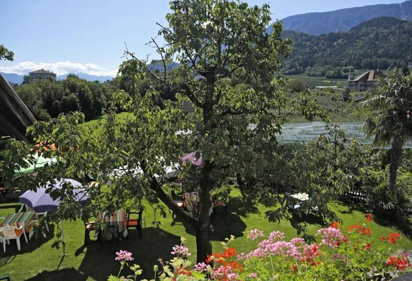 חדר סטנדרט לשלושה עם מרפסת, Felsenegg