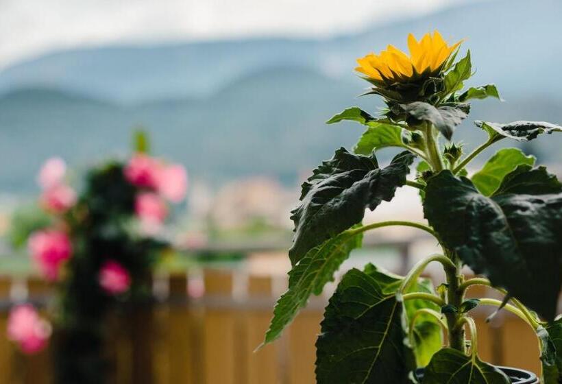 חדר לארבעה סטנדרטי עם מרפסת, Felsenegg