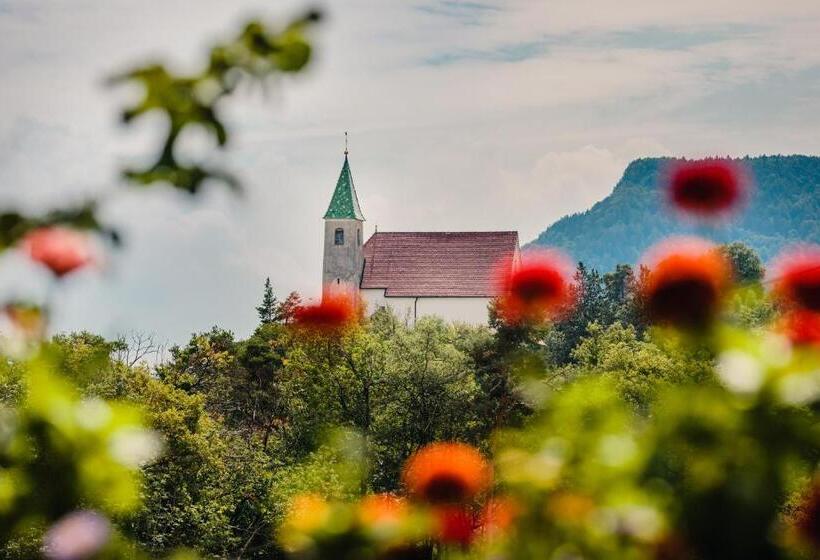 חדר לארבעה סטנדרטי עם מרפסת, Felsenegg