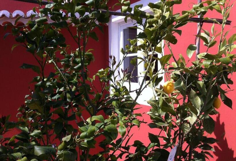 Номер Стандарт Вид на Сад, Verdemar