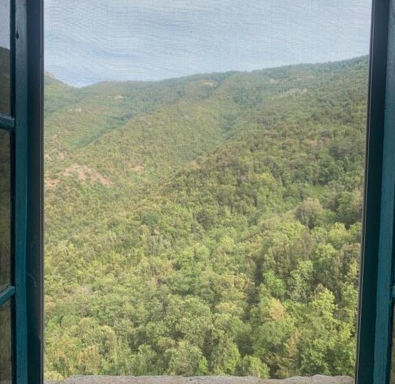 标准间带山景, Echo Du Maquis