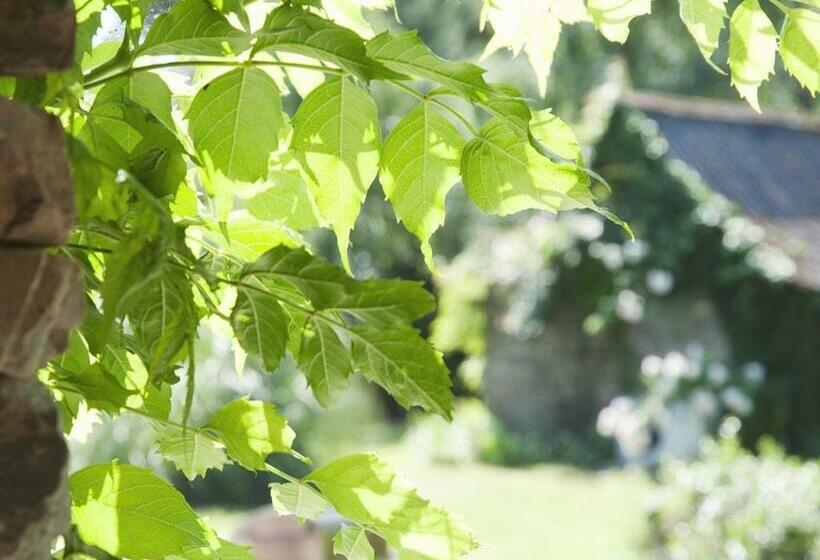 غرفة ديلوكس, Chambres D Hotes La Marmoire