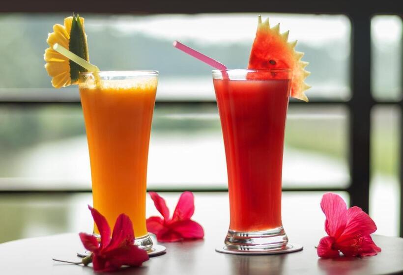 جناح مزوَّد بشرفة, Rvr Sarovar Portico