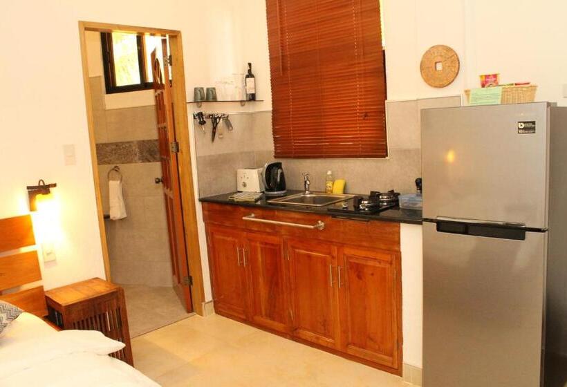 استودیوی لوکس, Alona S Coral Garden Resort