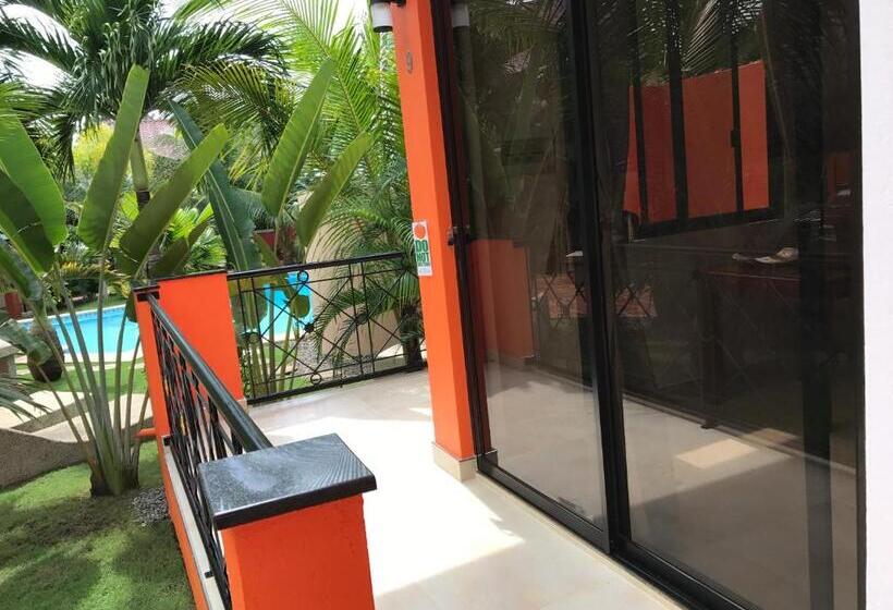 استودیوی لوکس, Alona S Coral Garden Resort