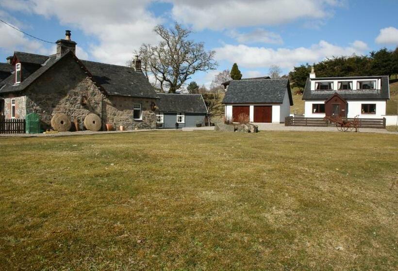 Номер Стандарт, Ardgarry Farm