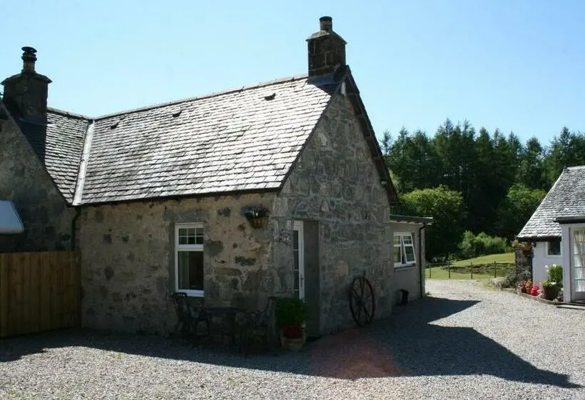 スタンダードルーム, Ardgarry Farm