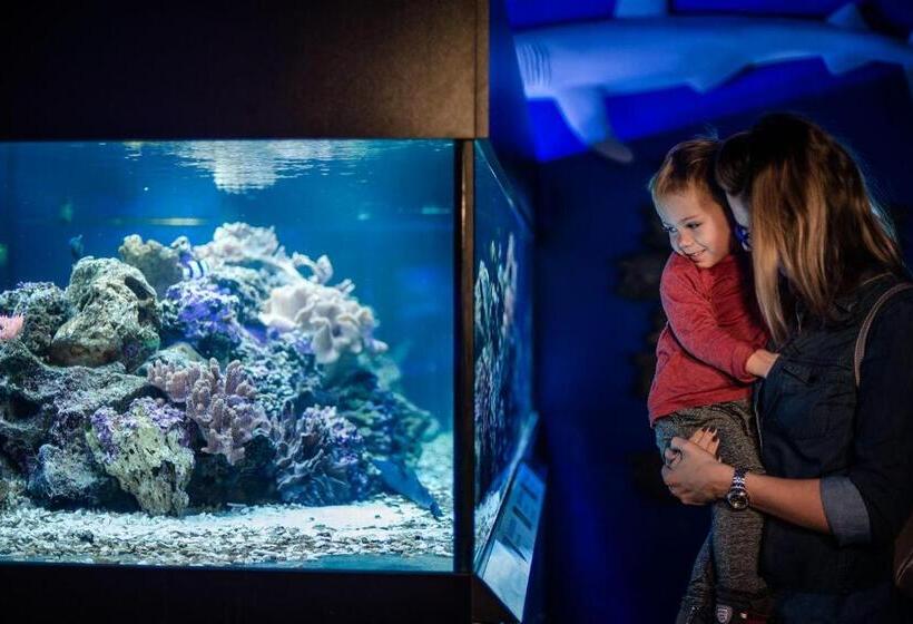 패밀리 룸, Lipno Wellness - Frymburk Hotel Private Family Room