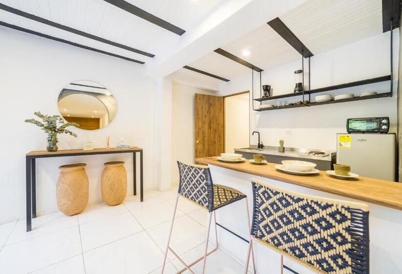 Apartamento 1 Dormitório com Terraço, Soy Local Primavera