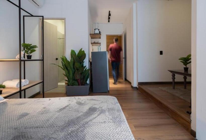 Quarto Deluxe, Soy Local Primavera