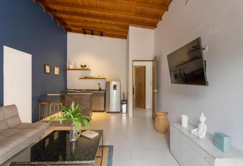 Apartamento 1 Dormitório com Terraço, Soy Local Primavera