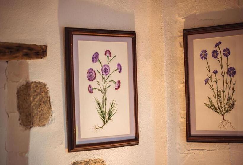 バルコニー付きスーペリアルーム, Cumbali Konak