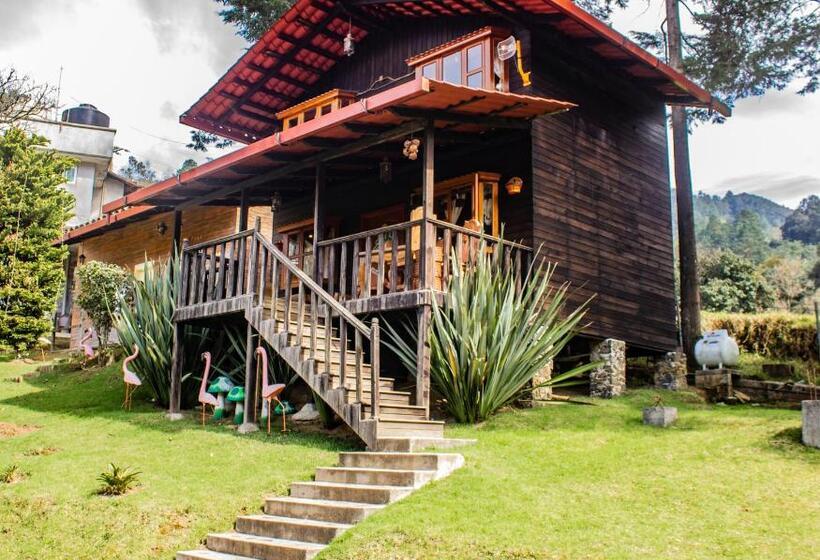 带泳池的标准三人间, Otro Rollo En Jilotepec By Rotamundos