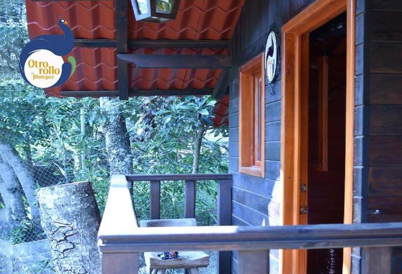 标准间, Otro Rollo En Jilotepec By Rotamundos