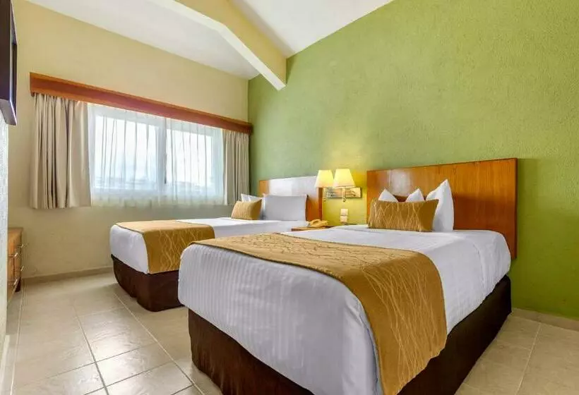 اتاق استاندارد با 2 تخت دوبل, Comfort Inn Puerto Vallarta Golfside & Marina