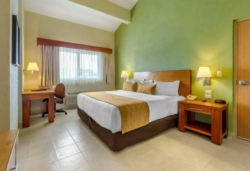 اتاق استاندارد با 2 تخت دوبل, Comfort Inn Puerto Vallarta Golfside & Marina