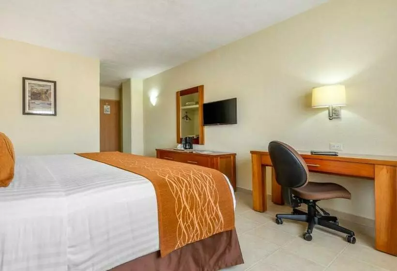 اتاق استاندارد با تخت بزرگ, Comfort Inn Puerto Vallarta Golfside & Marina