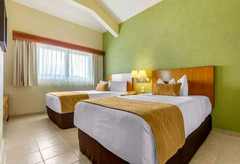 سوئیت 2 خوابه, Comfort Inn Puerto Vallarta Golfside & Marina