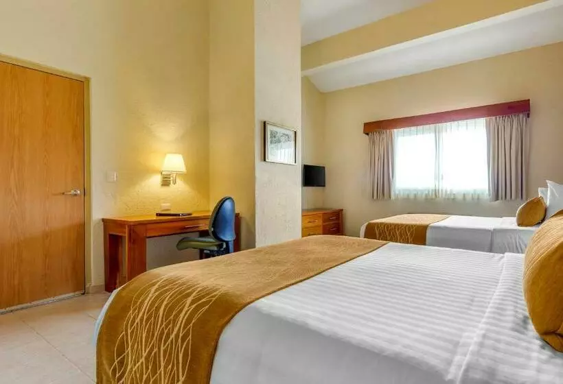 سوئیت 2 خوابه, Comfort Inn Puerto Vallarta Golfside & Marina