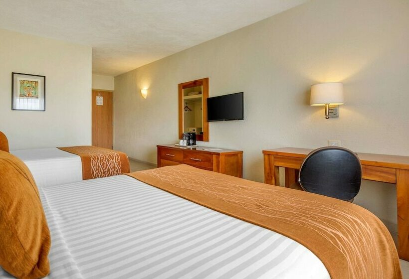 חדר סטנדרט שתי מיטות זוגיות, Comfort Inn Puerto Vallarta Golfside & Marina