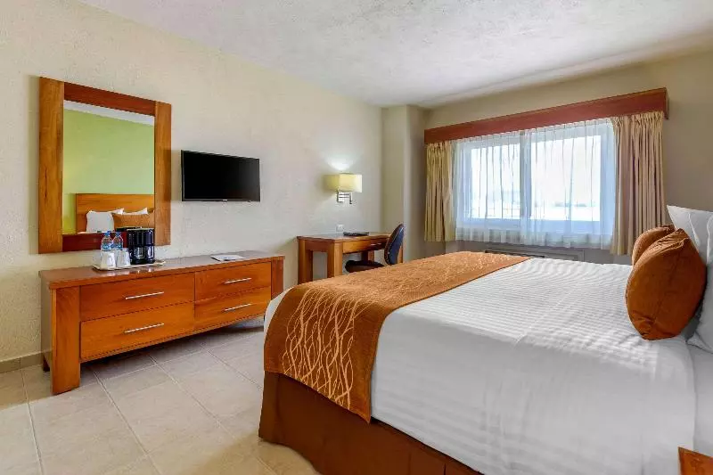 اتاق استاندارد با تخت بزرگ, Comfort Inn Puerto Vallarta Golfside & Marina