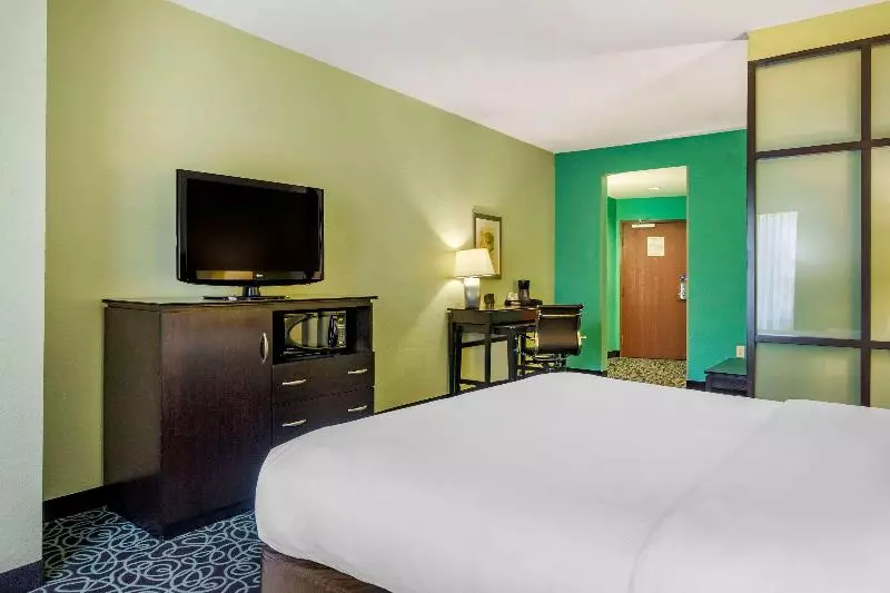 سوئیت با تخت بزرگ, Hampton Inn By Hilton Tampa Fairgrounds Casino