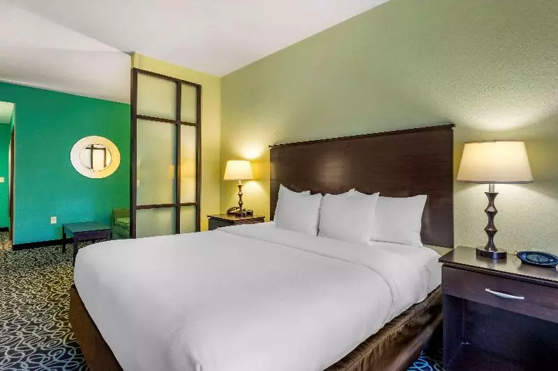 سوئیت با تخت بزرگ, Hampton Inn By Hilton Tampa Fairgrounds Casino