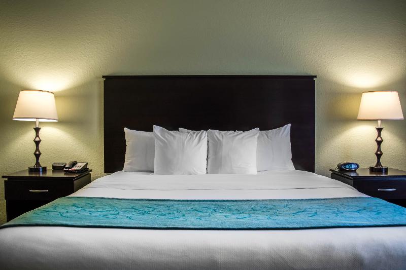 스위트 킹사이즈 침대, Hampton Inn By Hilton Tampa Fairgrounds Casino