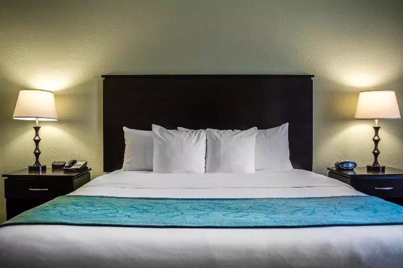 سوئیت با تخت بزرگ, Hampton Inn By Hilton Tampa Fairgrounds Casino