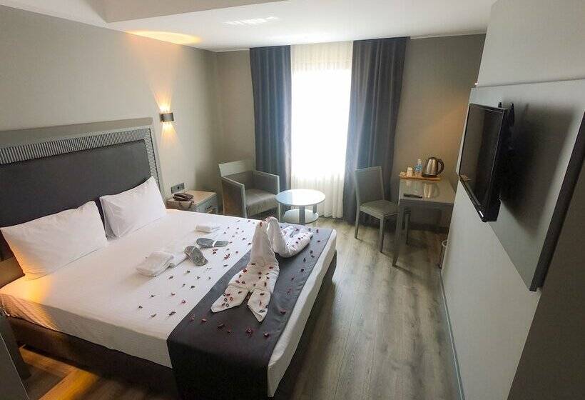 اتاق استاندارد, Grand S