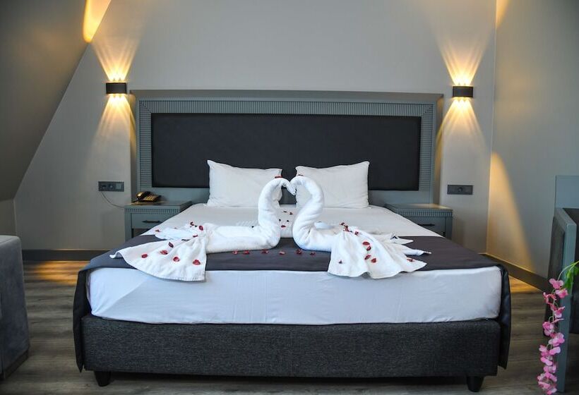 اتاق استاندارد, Grand S