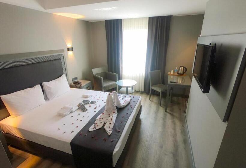 اتاق استاندارد, Grand S