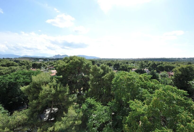 חדר סטנדרט נוף להרים, King Saron Hotel Resort