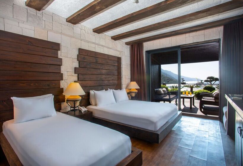 Номер Deluxe с Террасой, Manaspark Deluxe