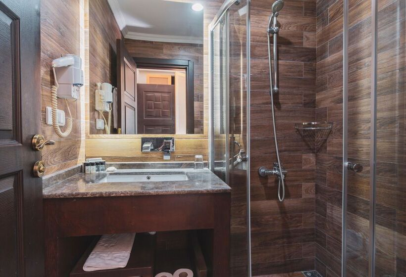 Номер Стандарт с Террасой, Manaspark Deluxe