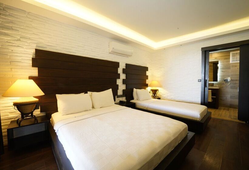 Номер Стандарт с Террасой, Manaspark Deluxe