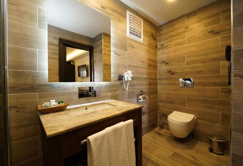 Номер Стандарт с Террасой, Manaspark Deluxe