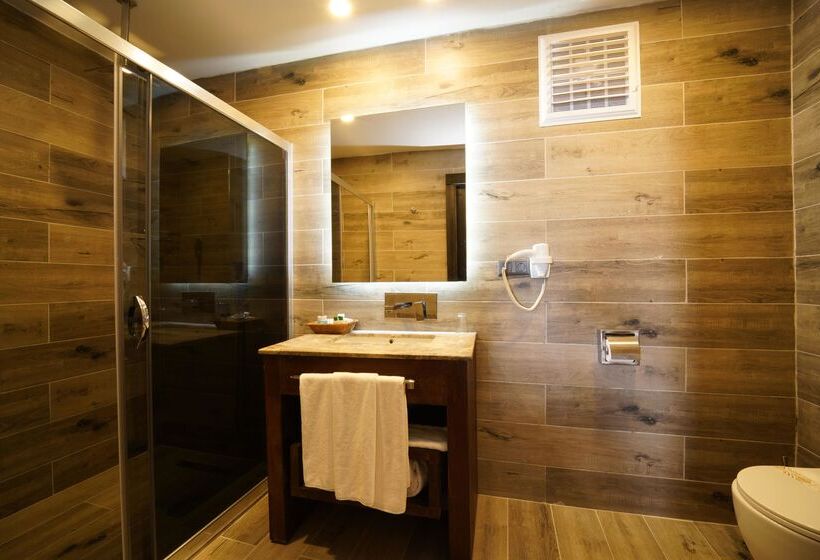 Номер Стандарт с Террасой, Manaspark Deluxe