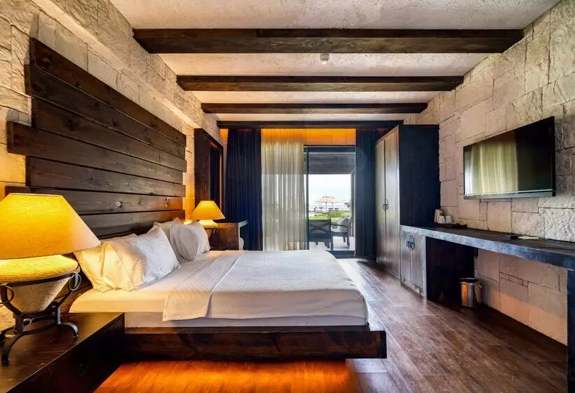 Deluxe Room with Terrace