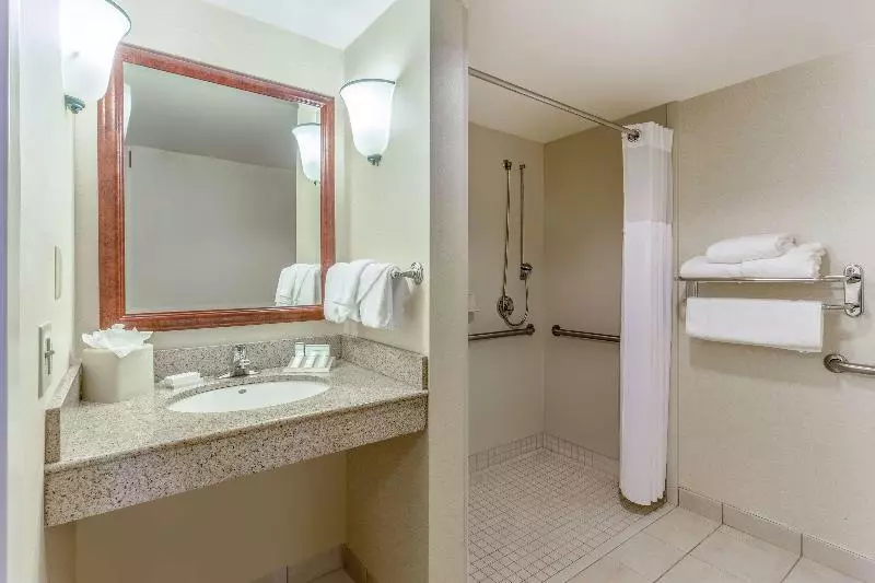 キングサイズベッドのスタンダードルーム, Hilton Garden Inn Richmond South/southpark