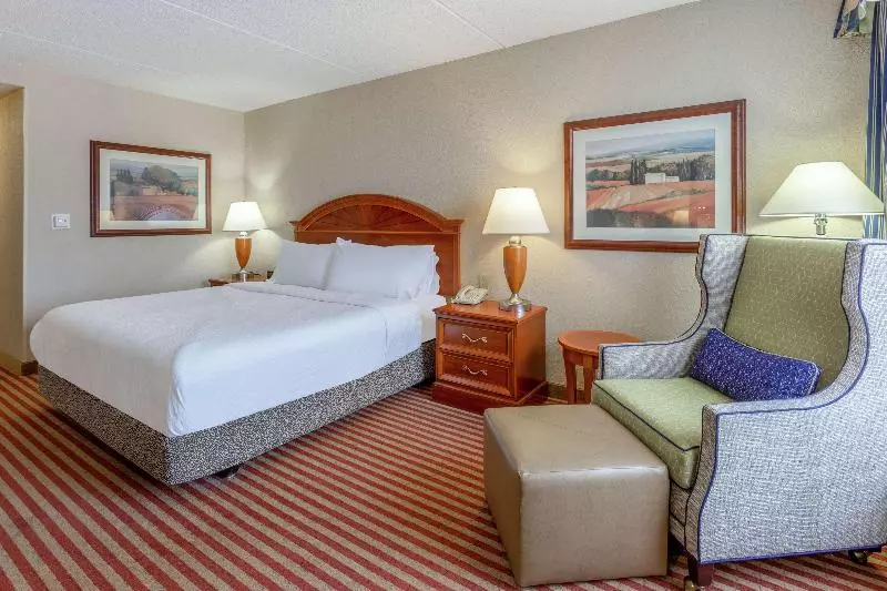 キングサイズベッドのスタンダードルーム, Hilton Garden Inn Richmond South/southpark