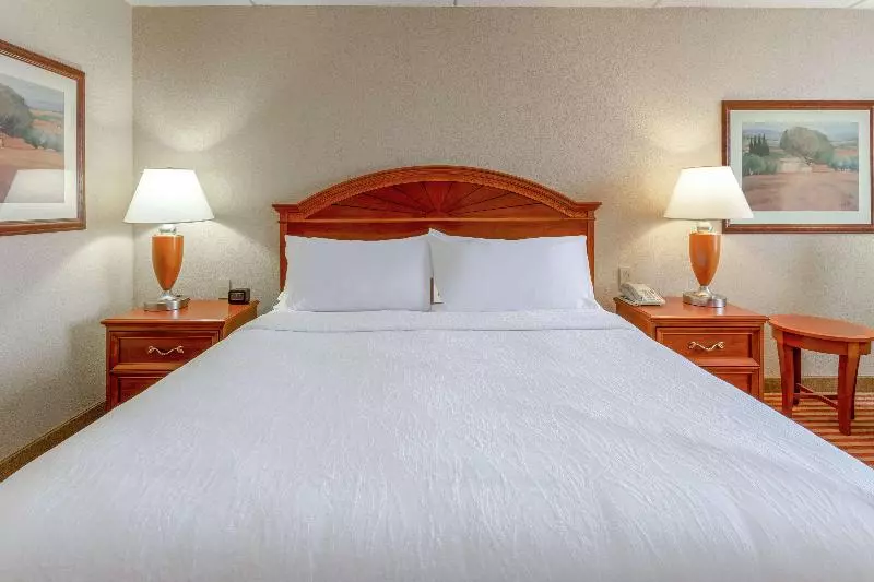 キングサイズベッドのスタンダードルーム, Hilton Garden Inn Richmond South/southpark
