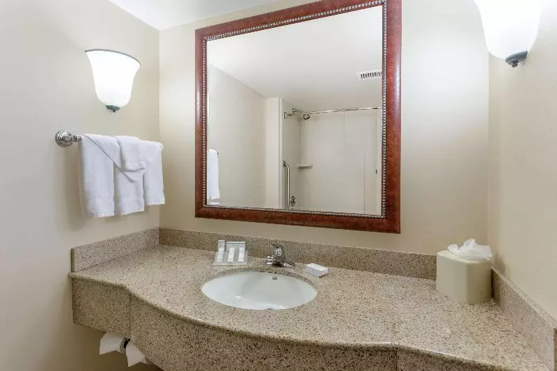 キングサイズベッドのスタンダードルーム, Hilton Garden Inn Richmond South/southpark