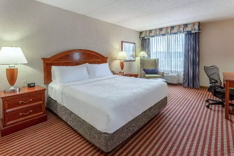 キングサイズベッドのスタンダードルーム, Hilton Garden Inn Richmond South/southpark