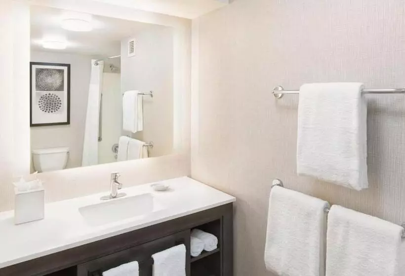 سوئیت 2 خوابه, Residence Inn By Marriott Sacramento Downtown At Capitol Park